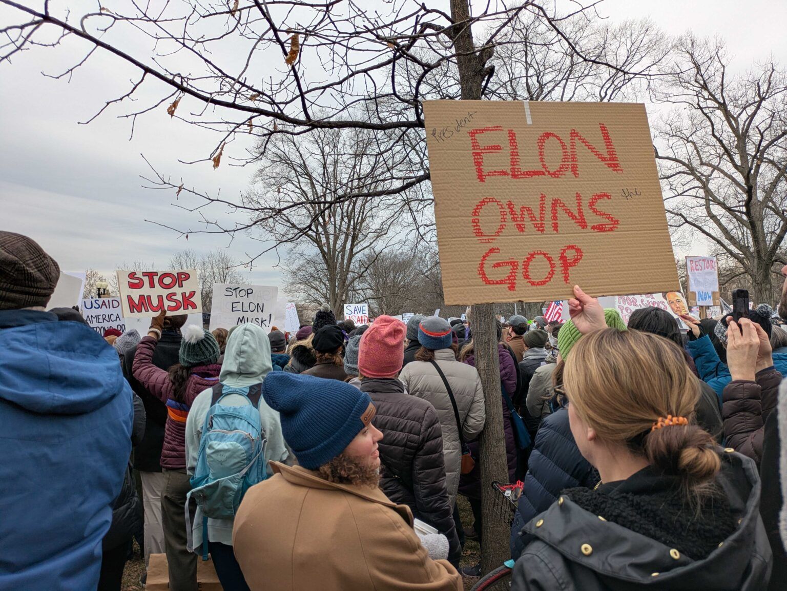 Elon GOP